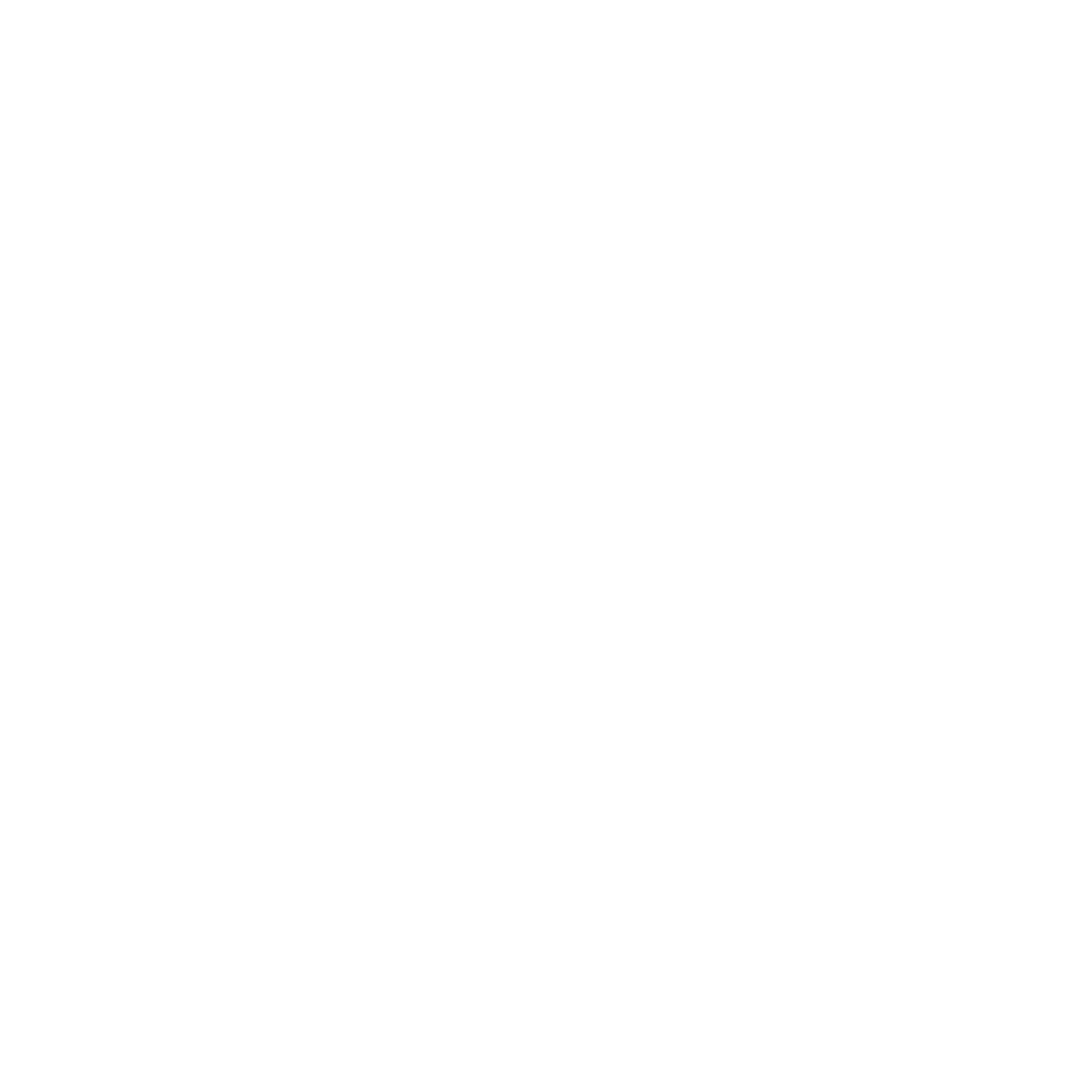 X icon